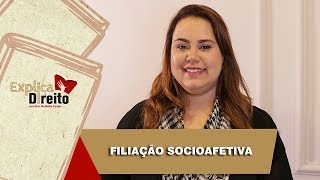 Explica Direito Filiação Socioafetiva  2019 [upl. by Aynwad6]