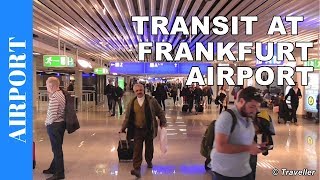 TRANSIT WALK AT FRANKFURT Airport FRA Terminal 1  Connection Flight Transfer Arriving amp Departing [upl. by Gray]